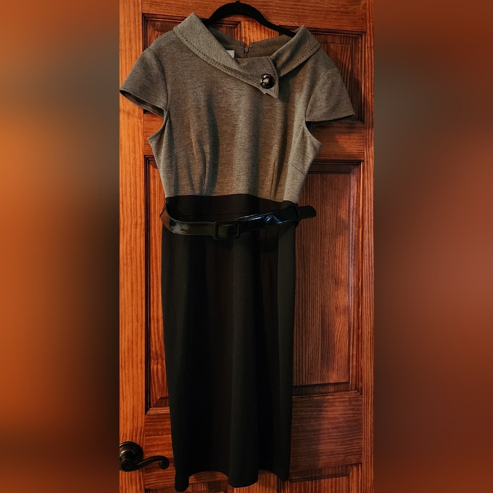 Dress Barn Dress